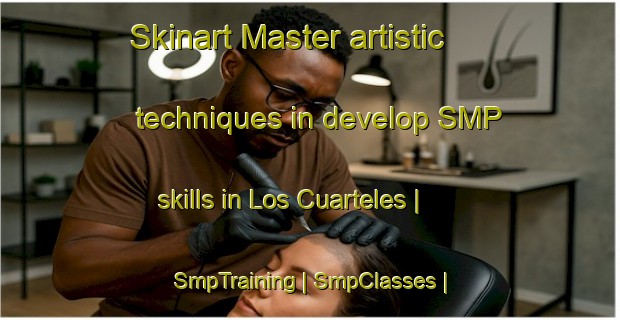 Skinart Master artistic techniques in develop SMP skills in Los Cuarteles | SmpTraining | SmpClasses | SkinartTraining-Mexico